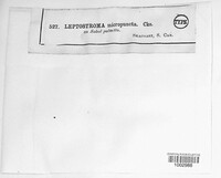 Image Associated With the Occurence